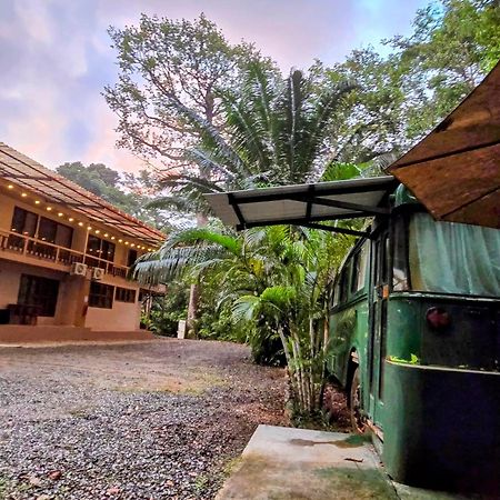 Cool Waters Jungle Villas ウビタ エクステリア 写真
