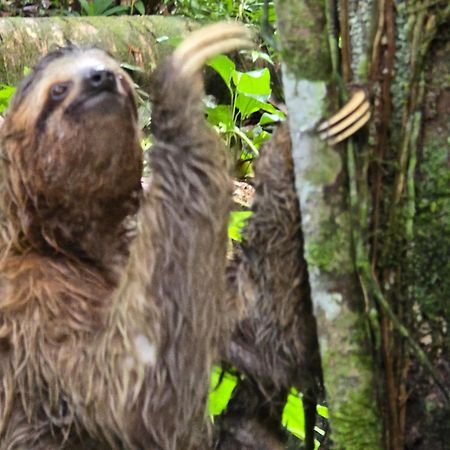 Cool Waters Jungle Villas ウビタ エクステリア 写真