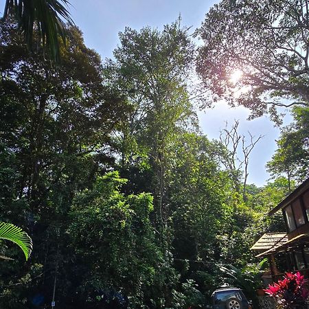 Cool Waters Jungle Villas ウビタ エクステリア 写真