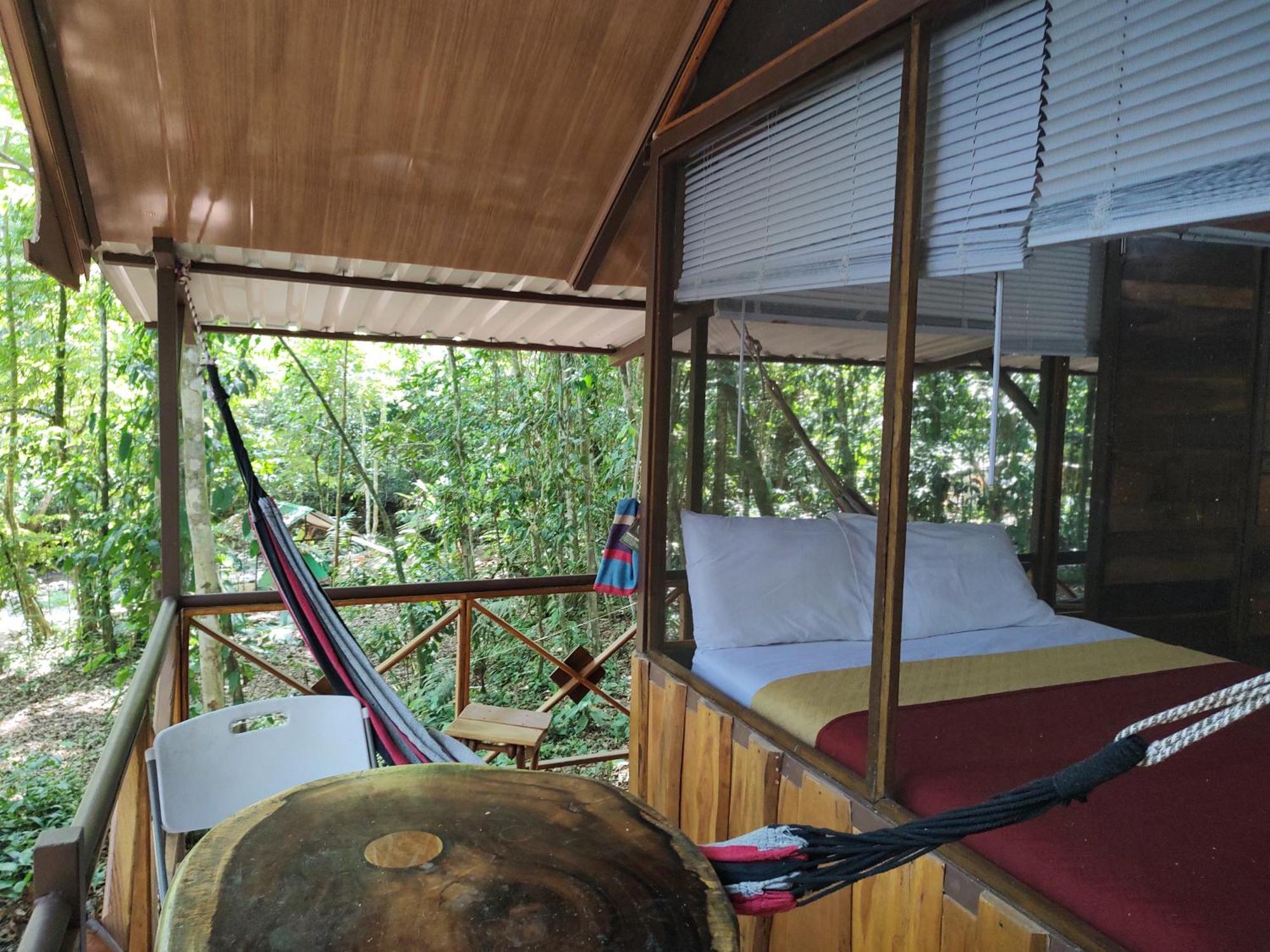 Cool Waters Jungle Villas ウビタ エクステリア 写真