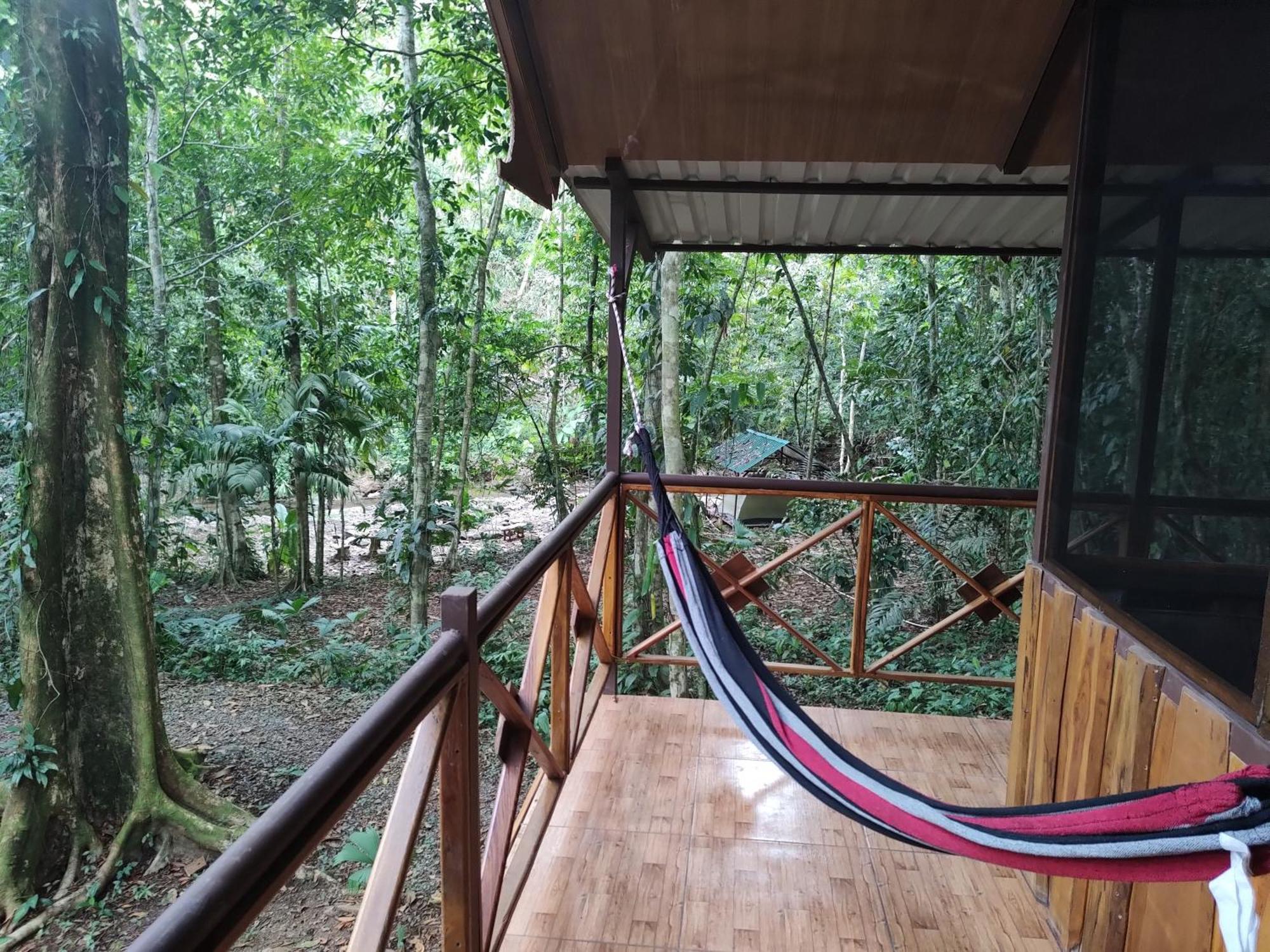Cool Waters Jungle Villas ウビタ エクステリア 写真
