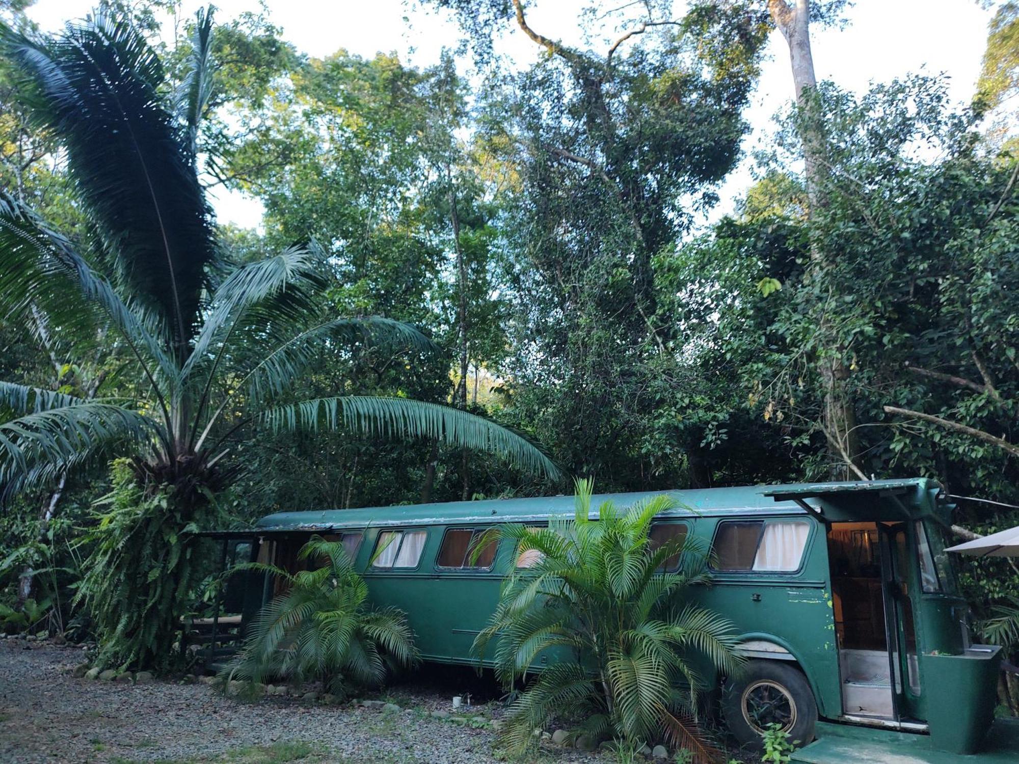 Cool Waters Jungle Villas ウビタ エクステリア 写真