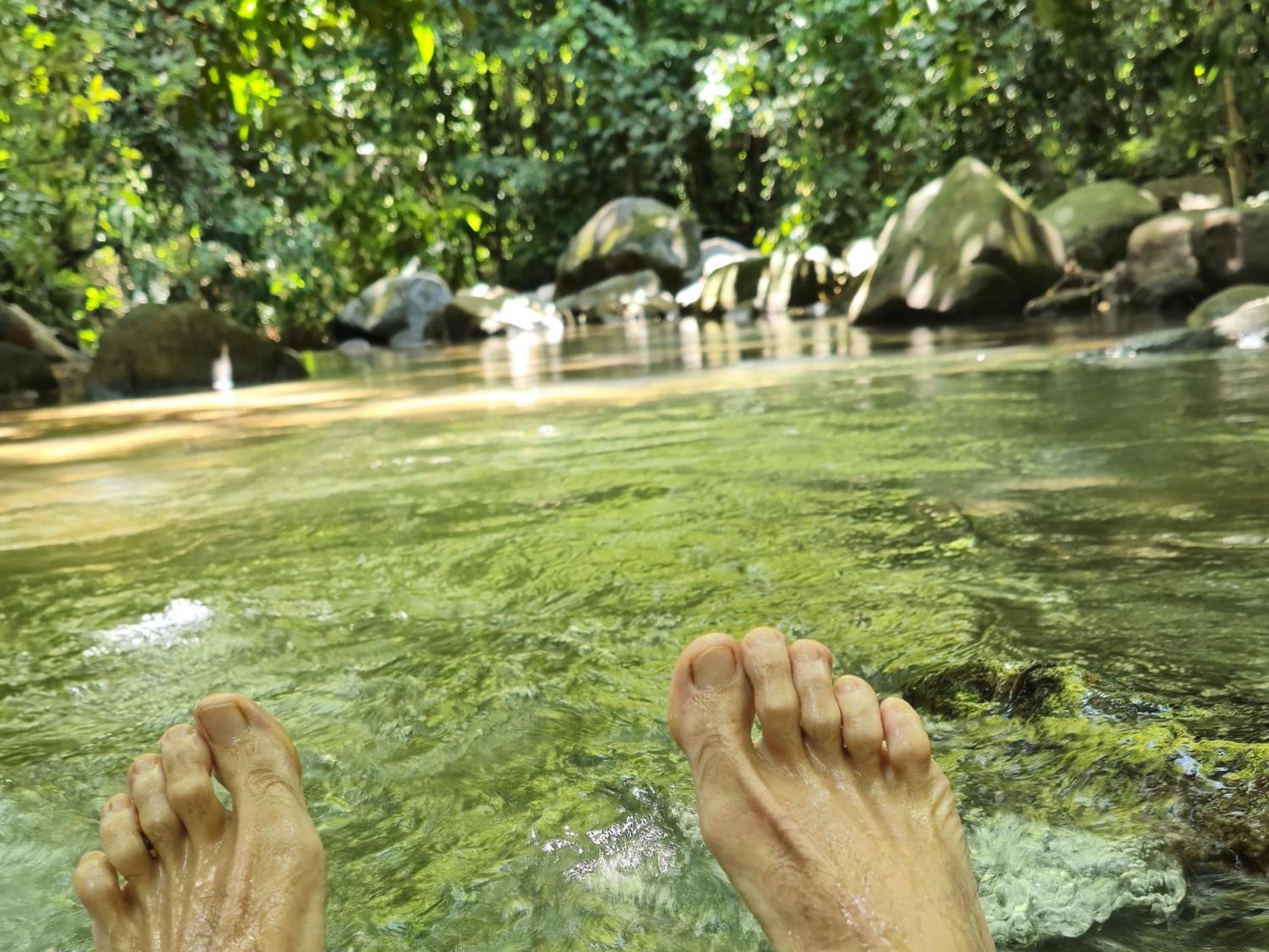Cool Waters Jungle Villas ウビタ エクステリア 写真