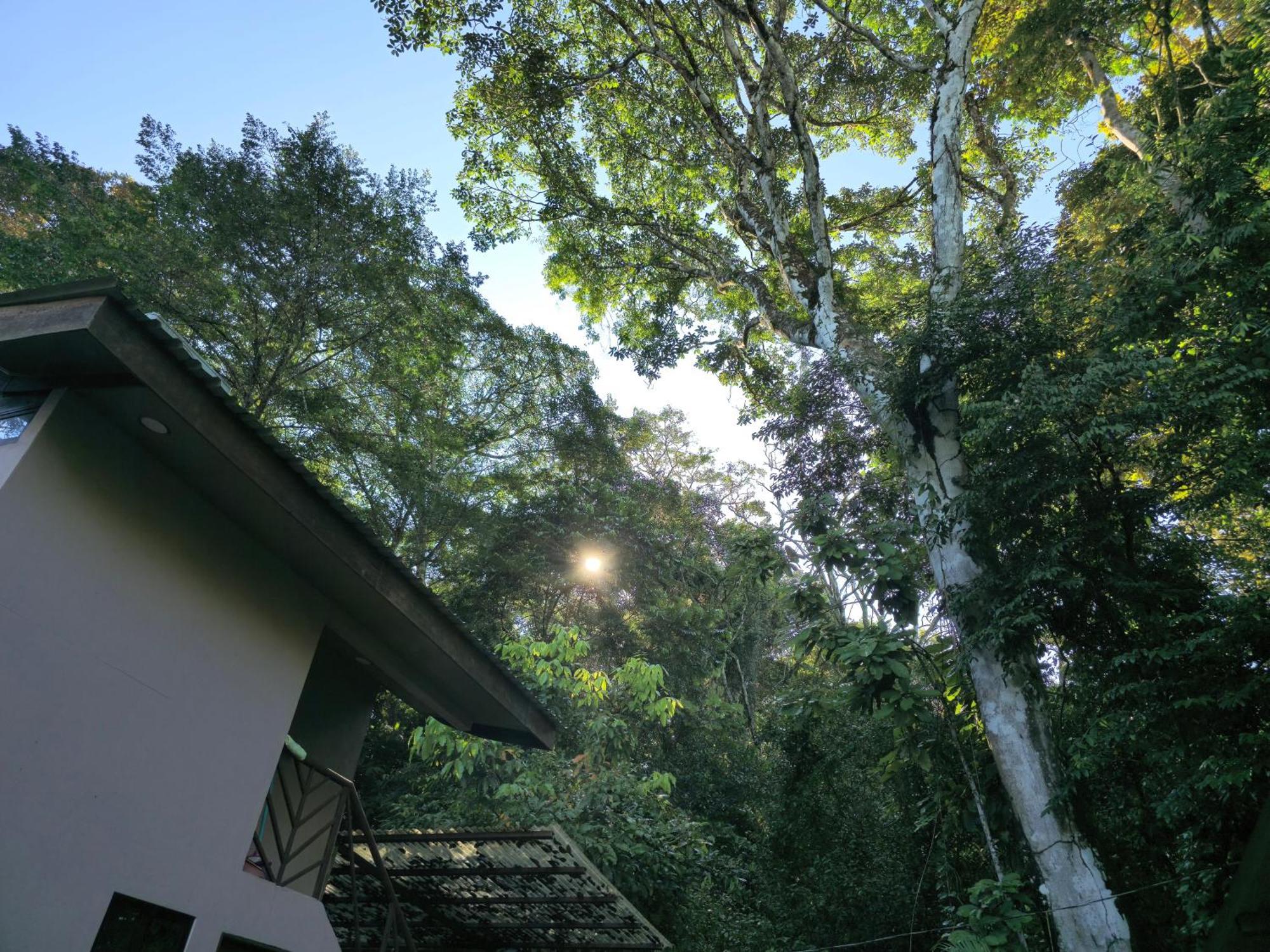 Cool Waters Jungle Villas ウビタ エクステリア 写真