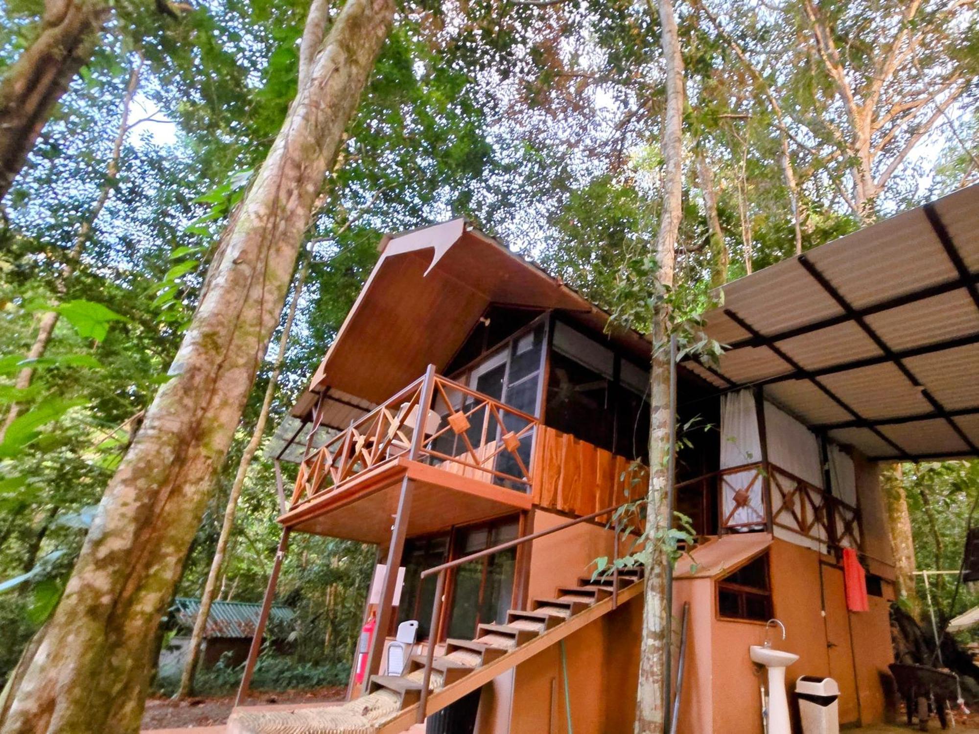 Cool Waters Jungle Villas ウビタ エクステリア 写真