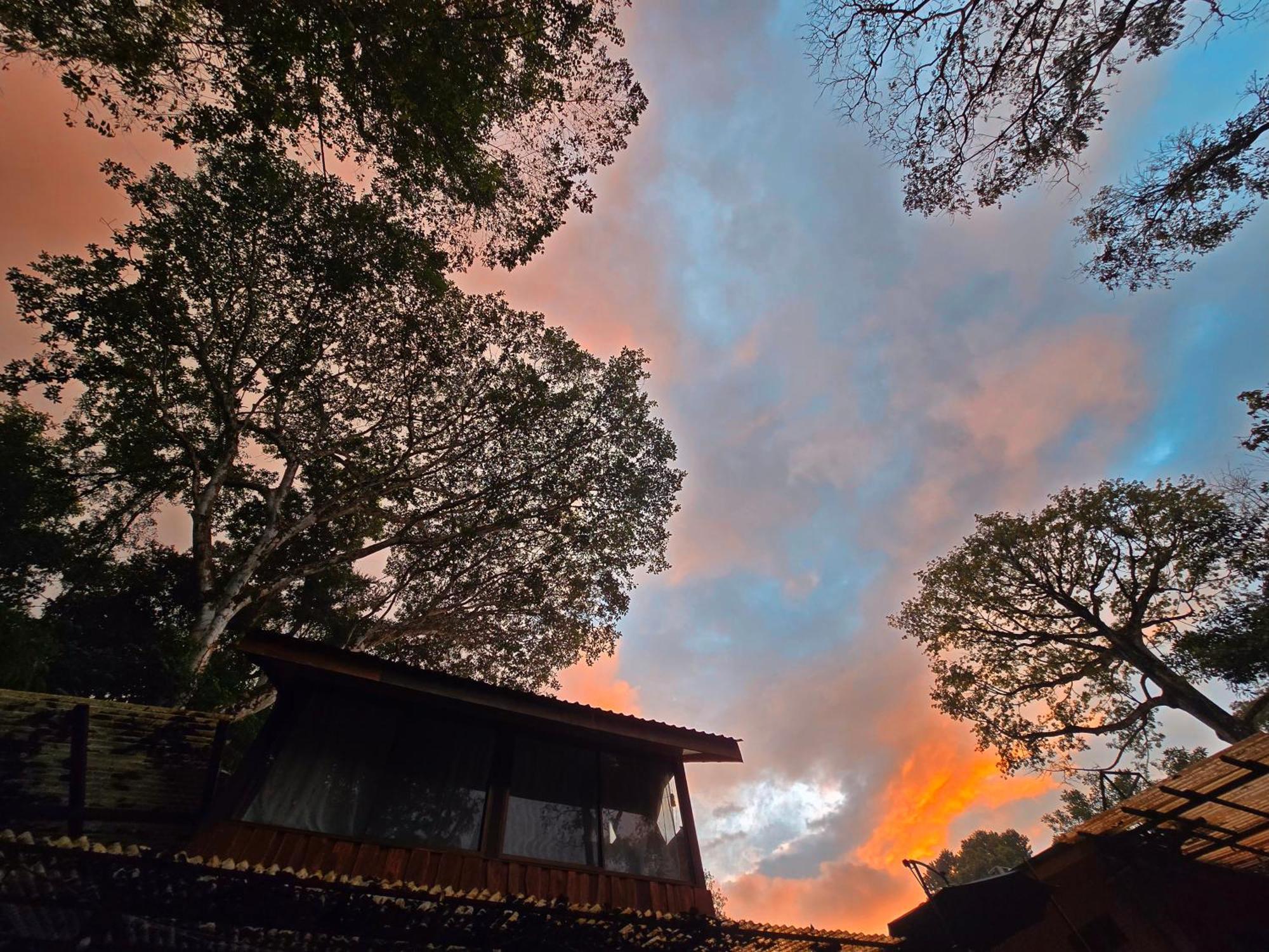 Cool Waters Jungle Villas ウビタ エクステリア 写真