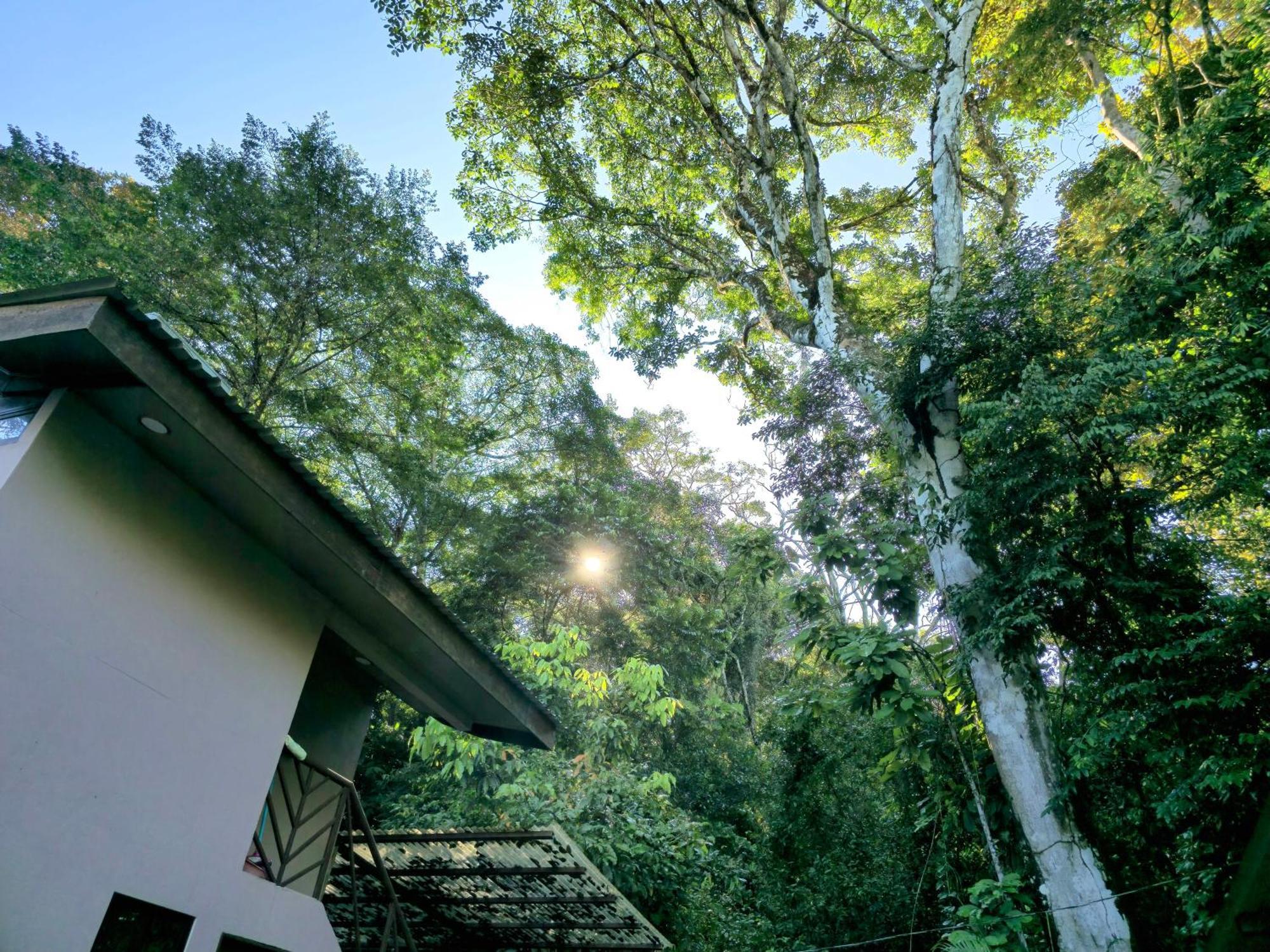 Cool Waters Jungle Villas ウビタ エクステリア 写真
