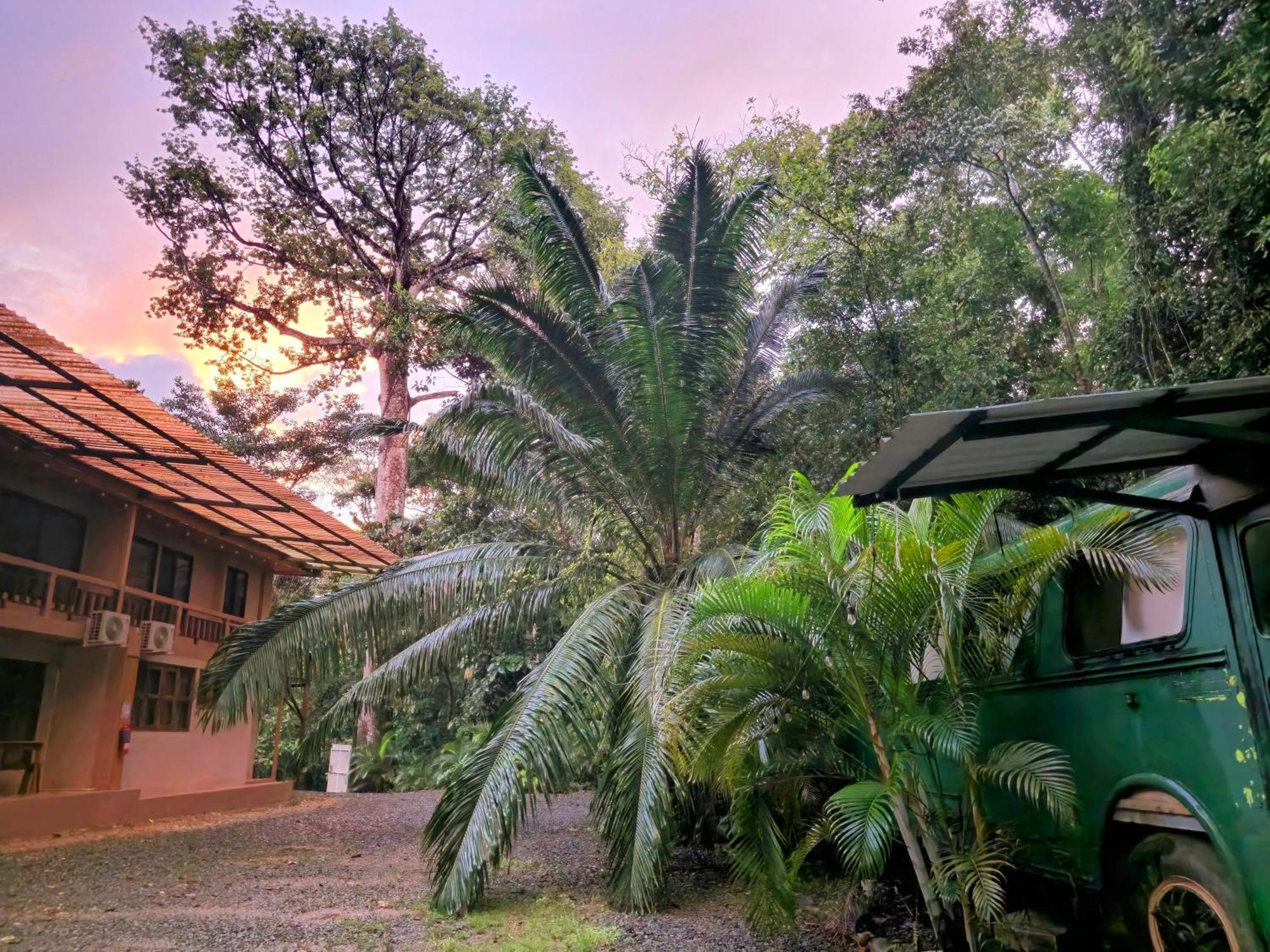 Cool Waters Jungle Villas ウビタ エクステリア 写真