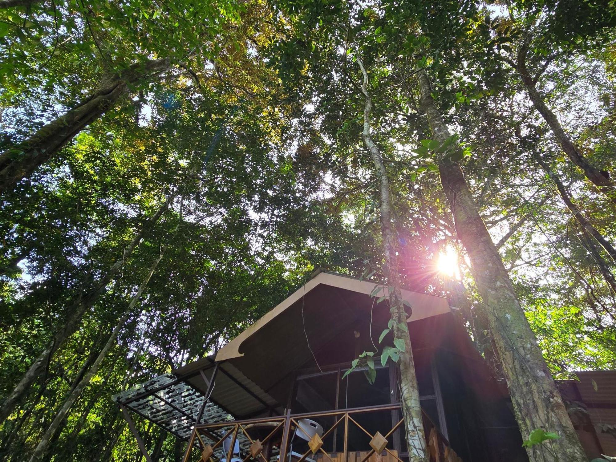 Cool Waters Jungle Villas ウビタ エクステリア 写真