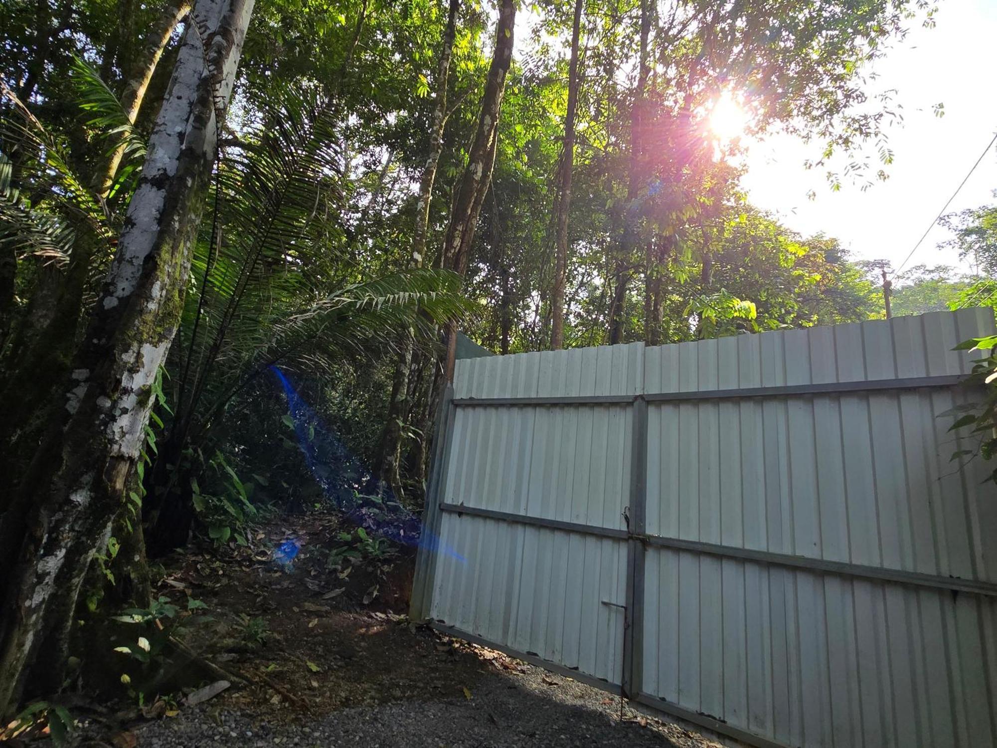 Cool Waters Jungle Villas ウビタ エクステリア 写真