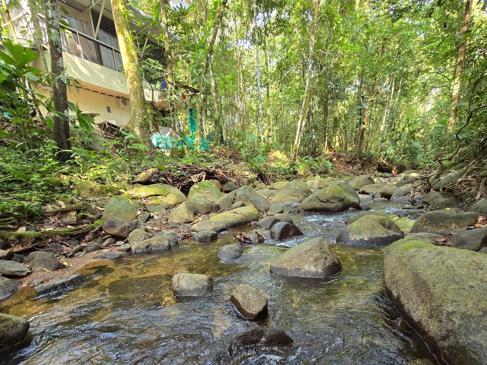 Cool Waters Jungle Villas ウビタ エクステリア 写真