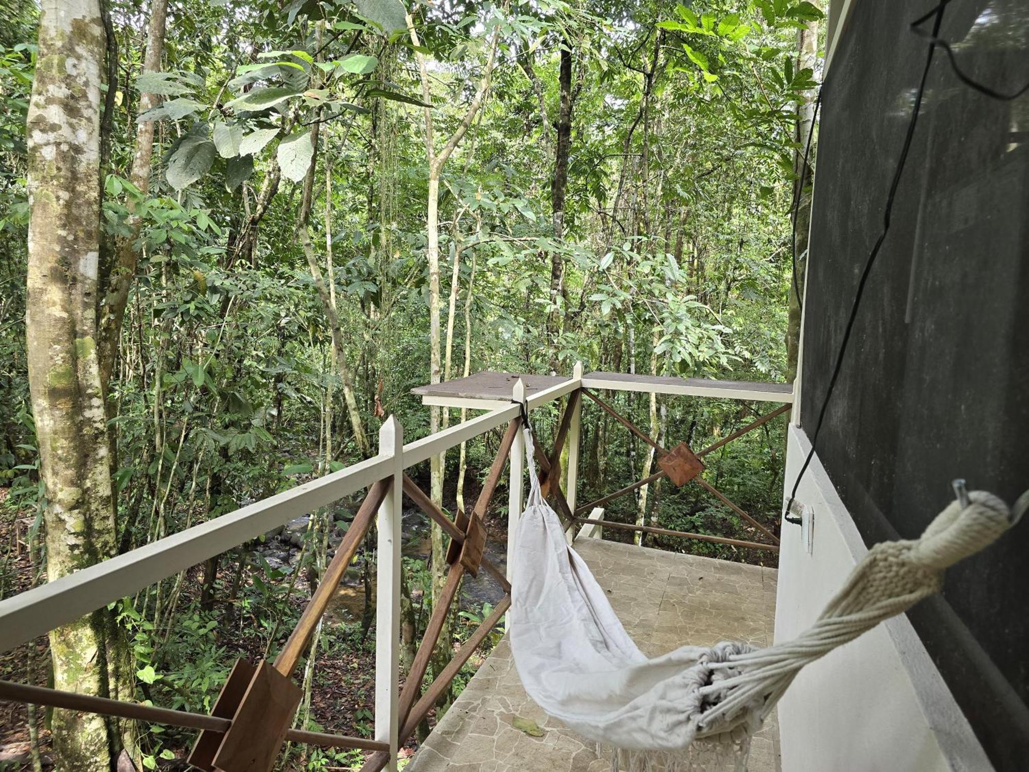 Cool Waters Jungle Villas ウビタ エクステリア 写真